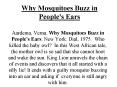 Why Mosquitoes Buzz in People's Ears