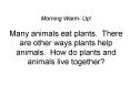 Morning Warm Up Many animals eat plants' There are other ways plants help animals' How do plants and