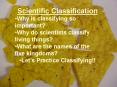 Scientific Classification