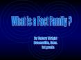 What is a Fact Family