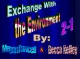 Exchange With