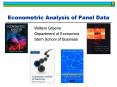 Econometric Analysis of Panel Data