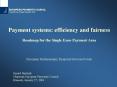 Payment systems: efficiency and fairness Roadmap for the Single Euro Payment Area European Parliamen