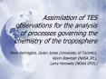 Assimilation of TES observations for the analysis of processes governing the chemistry of the tropos
