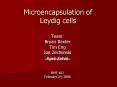 Microencapsulation of Leydig cells