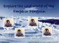 Explore the cold world of the