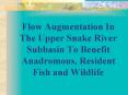 Flow Augmentation In The Upper Snake River Subbasin To Benefit Anadromous, Resident Fish and Wildlif