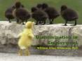 William Kritsonis, Law, Ch 4 Discrimination Employment
