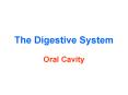 The Digestive System