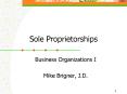 Sole Proprietorships