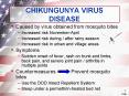 CHIKUNGUNYA VIRUS DISEASE