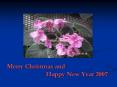 Merry Christmas and Happy New Year 2007