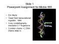 Slide 1 Powerpoint Assignment for Micbio 565