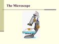 The Microscope