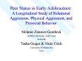 Peer Status in Early Adolescence: A Longitudinal Study of Relational Aggression, Physical Aggression