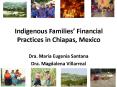 Indigenous Families Financial Practices in Chiapas, Mexico