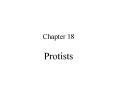 Protists