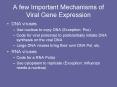 A few Important Mechanisms of Viral Gene Expression
