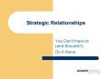 Strategic Relationships