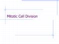 Mitotic Cell Division