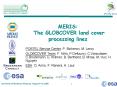 MERIS: The GLOBCOVER land cover processing lines