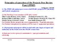 Principles of operation of the Projects Peer Review Panel PPRP