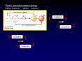 Redox reactions release energy