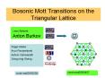 Bosonic Mott Transitions on the Triangular Lattice