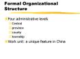 Formal Organizational Structure