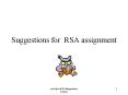 Suggestions for RSA assignment