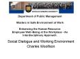 Department of Public Management Masters in Safe Environment at Work Enhancing the Human Resource: Em