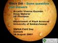 Black Dot Some questions and answers