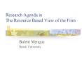 Research Agenda in The Resource Based View of the Firm