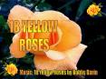 18 Yellow Roses