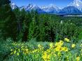 I love the Teton mountains!