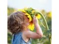 Beautiful Nature Photos