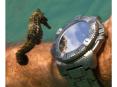 Most Stunning Photos of 2012 - Part 1
