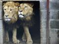 Pictures of the Week