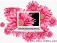 Laptop and life