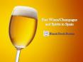 Fine Wines/Champagne and Spirits in Spain