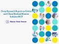 2013 Deep Research Report on Global and China Medical Monitor Industry