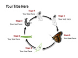 Royalty free abstract PowerPoint templates