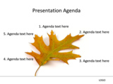 Royalty free abstract PowerPoint templates