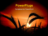  Power Point Template of - Illustration of a sunset behind a wheat field. - Royalty Free PPT