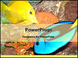  Power Point Template of - colorful fishes under water - Royalty Free PPT