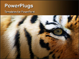  Power Point Template of -  - Royalty Free PPT