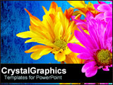  Power Point Template of - Neon yellow and pink flowers over blue. - Royalty Free PPT
