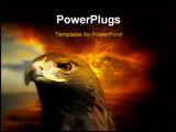  Power Point Template of - a portrait of a golden eagle with a fire red sky behind - Royalty Free PPT