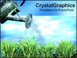  Power Point Template of - Bucket watering grass. - Royalty Free PPT