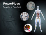 Power Point Template of - Human Anatomy - Royalty Free PPT